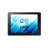 Pack 10 Unidades - Disco SSD Go-Infinity 256GB Sata III - Bulk C/Taxa