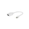 Adaptador Mini DisplayPort para DisplayPort Branco